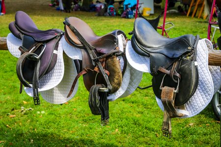 Horse saddle dressage horse photo