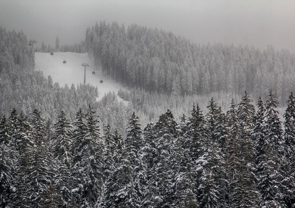 Cold landscape wintry photo