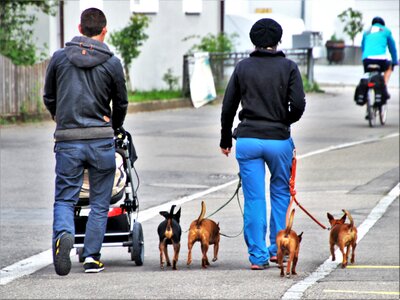 Friendship walkway on a leash