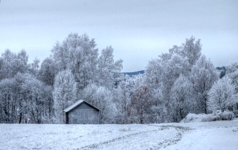 Snow cold landscapes photo