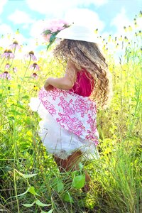 Meadow flowers summer