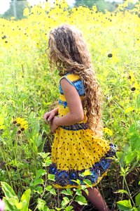 Meadow summer walking