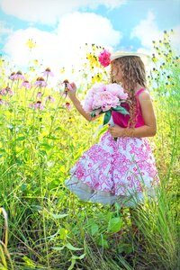 Pretty meadow summer photo