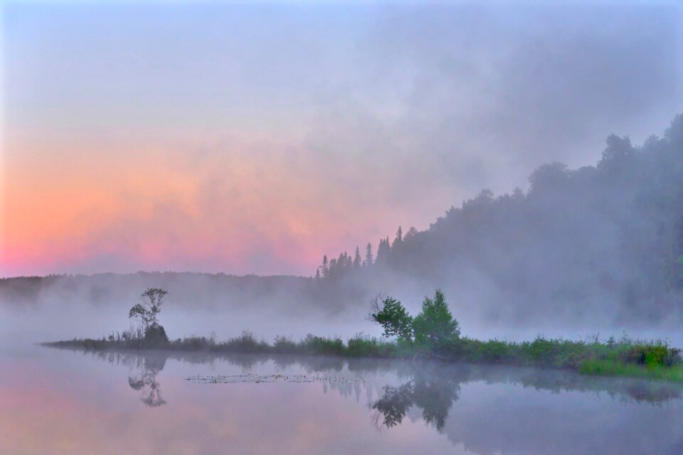 Environment mist trees