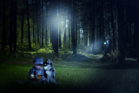 Mood mysterious fairytale