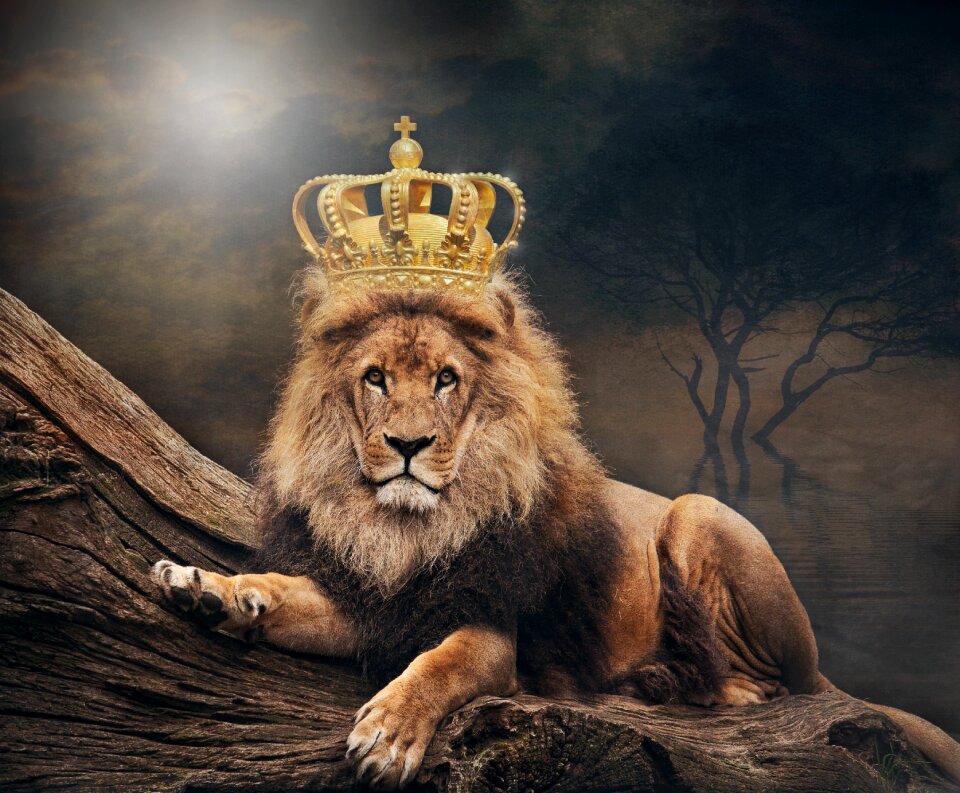 Crown animal world art
