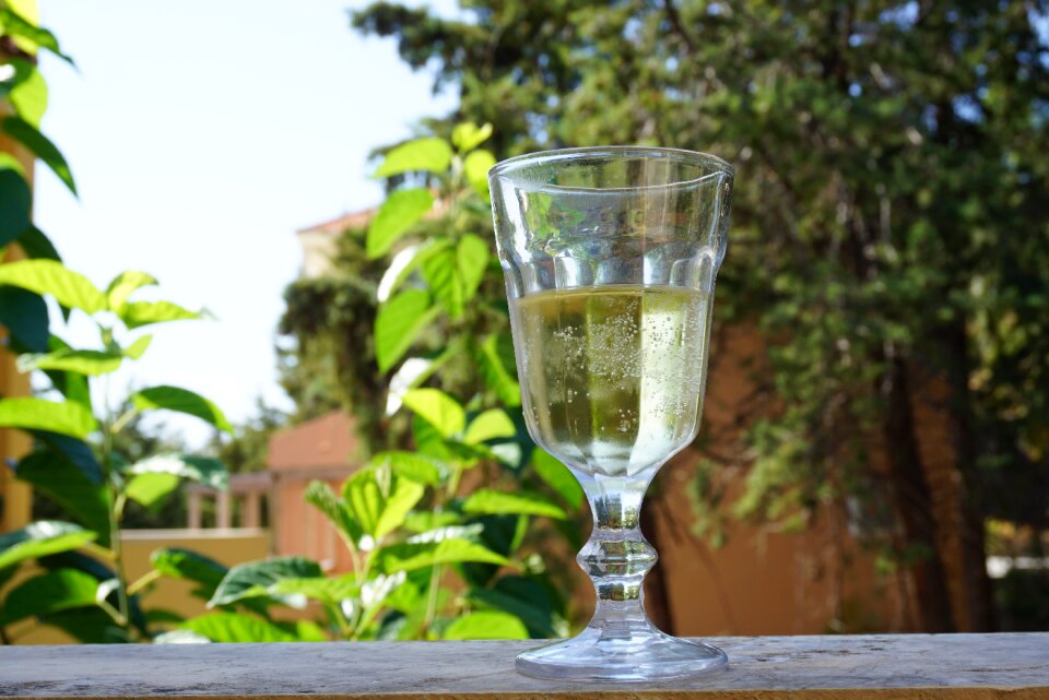 Holiday wine cheers