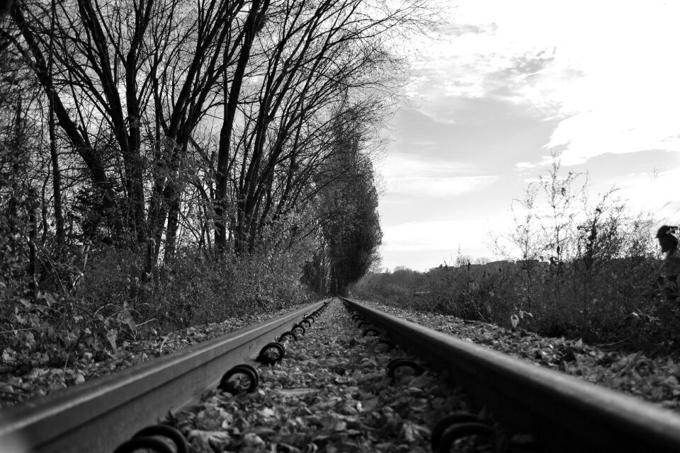 Railway rails autumn
