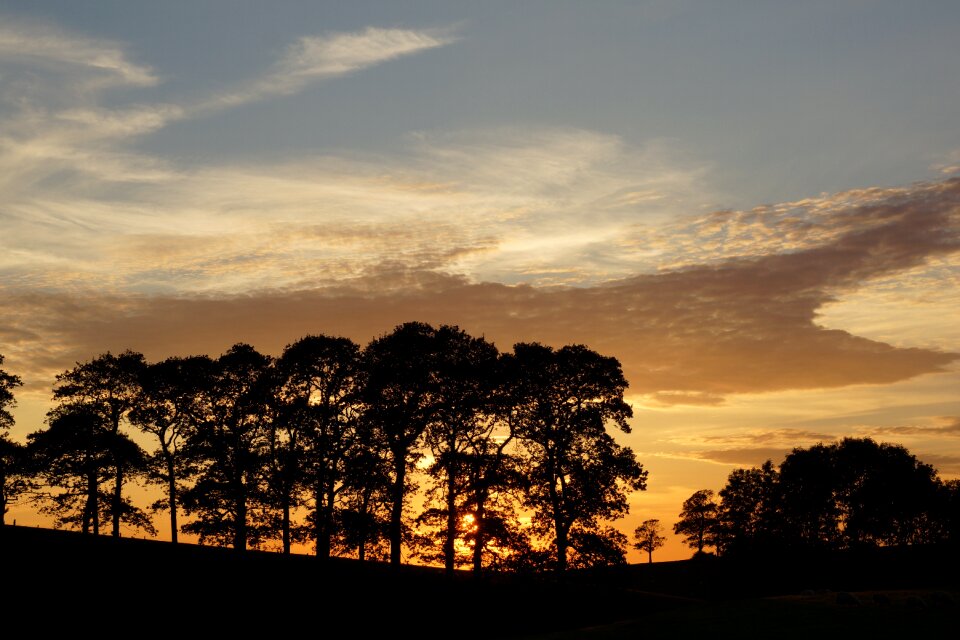 Silhouette evening sunset