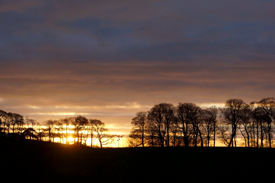 Silhouette evening sunset