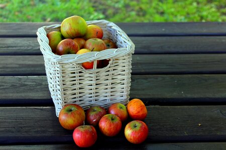 Autumn fruit harvest vitamins