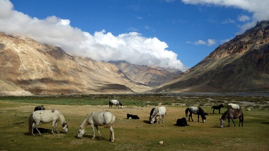Himalayas travel mountains