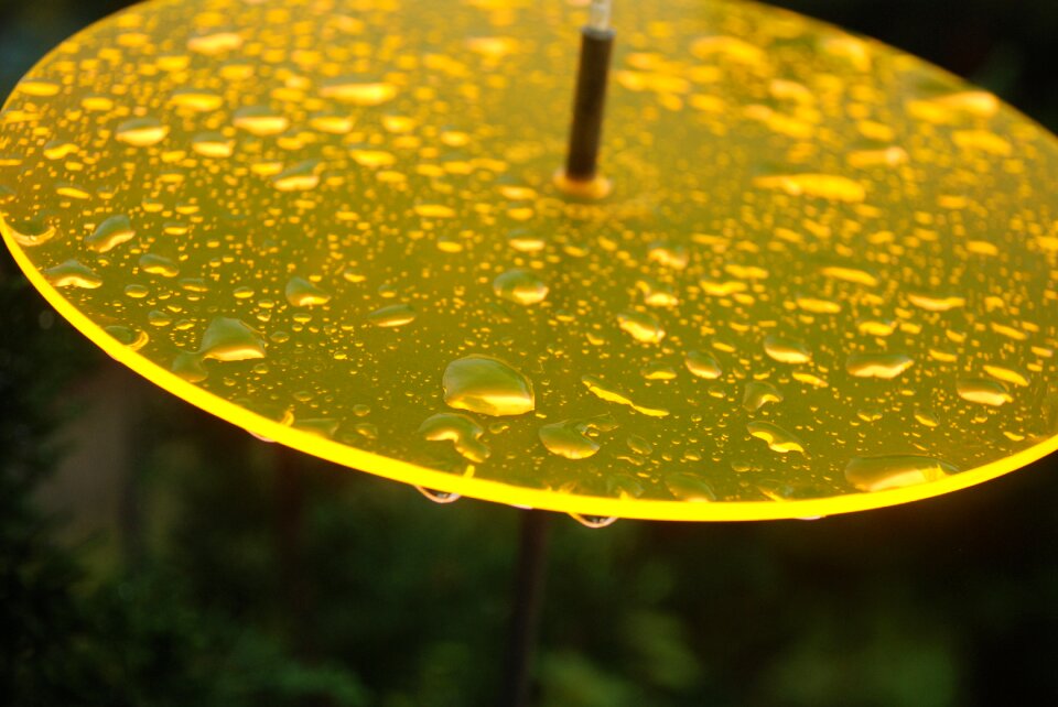 Nature rain sunset