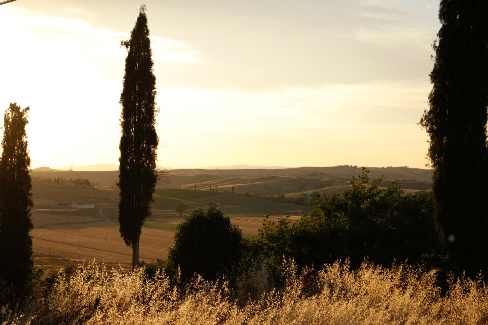 Summer landscape dusk