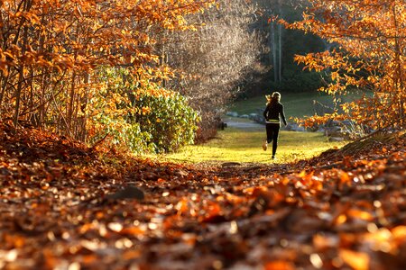 Autumn leaves people photo