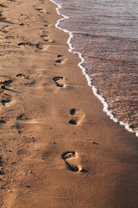 Tracks egypt red sea