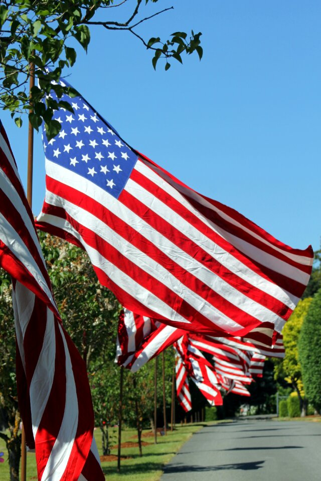 Memorial day flags america
