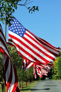Memorial day flags america