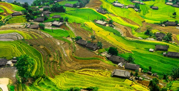 Mountain asian bali