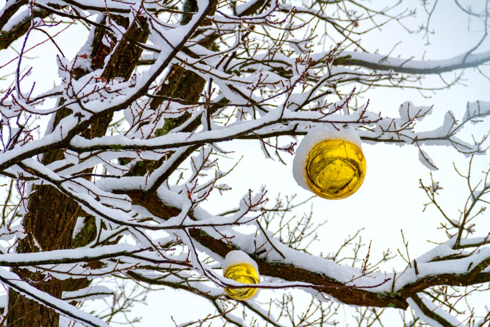 Yellow tree decoration