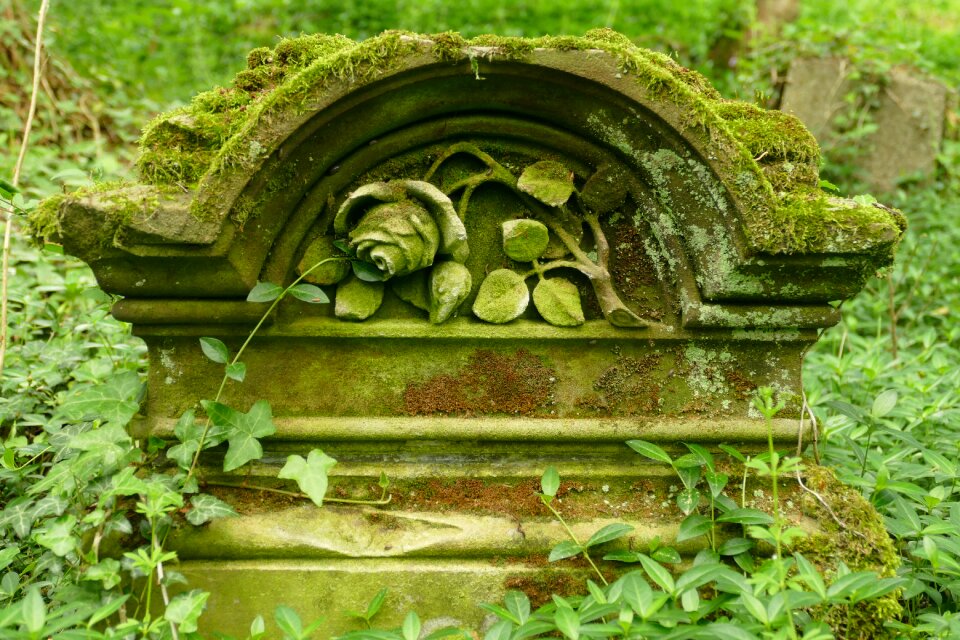Commemorate remember overgrown