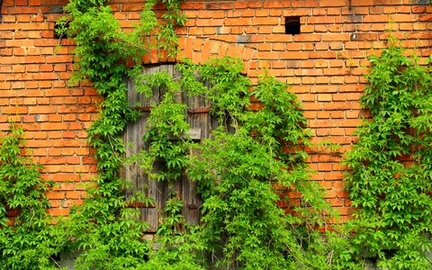 Building plant nature