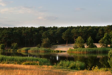 Lake river nature