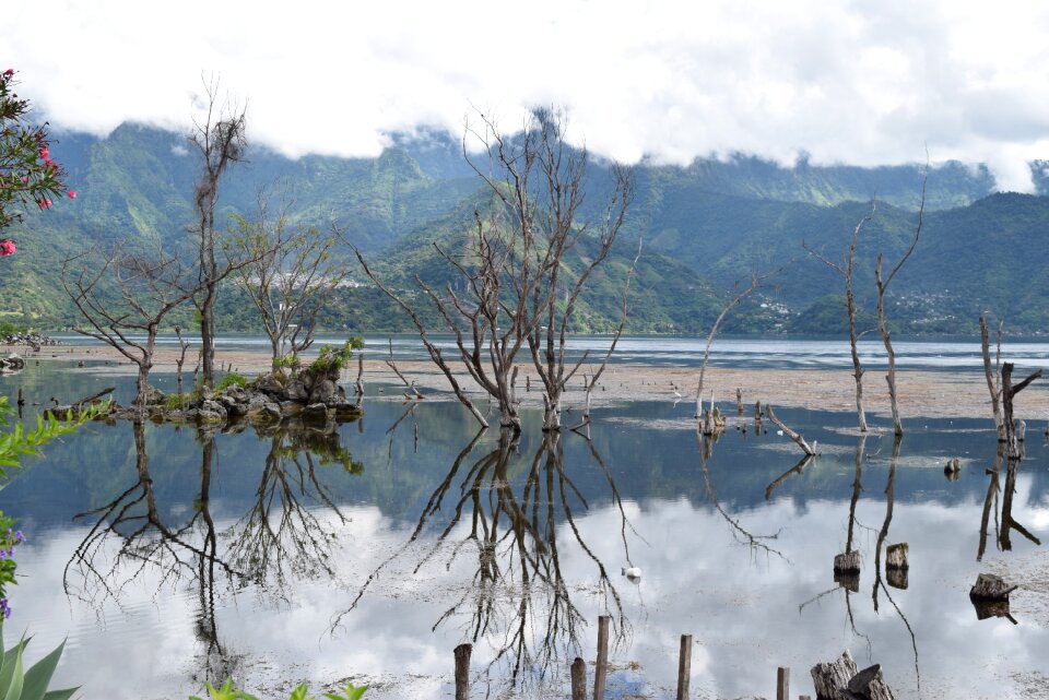San pedro lake mirror image