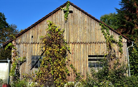 Overgrown wine partner hut photo