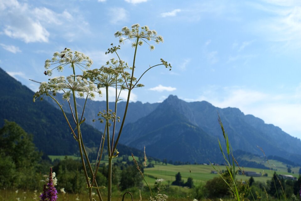 Nature mountains tyrol