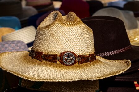 Straw hat coneflower cowboy hat photo