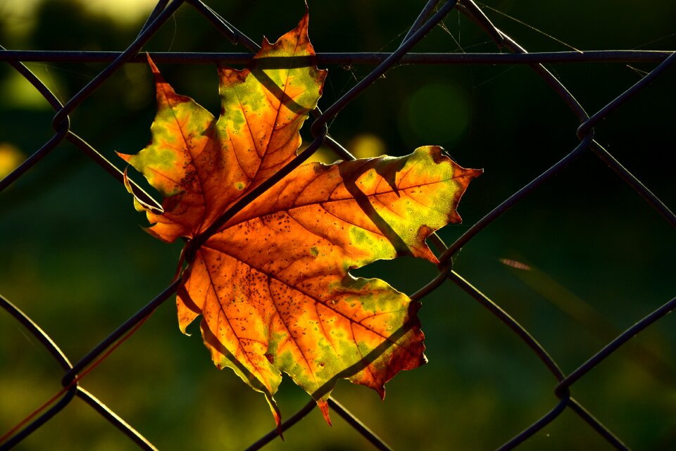 Close up wire fence wire mesh fence