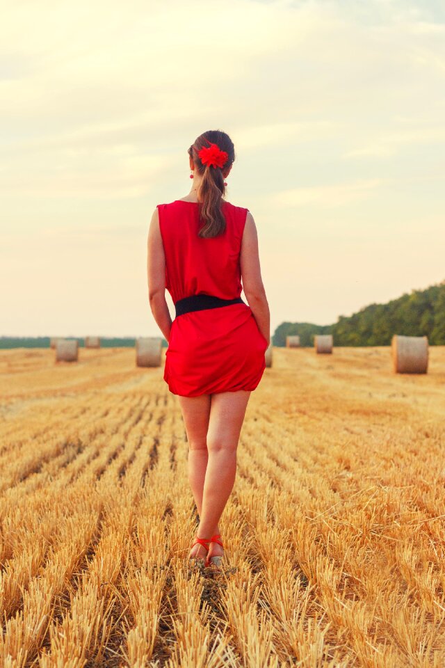 Cleaning harvest wheat photo