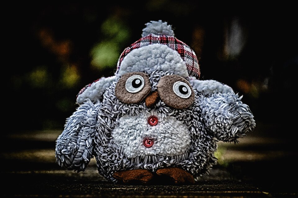Winter teddy bear toys