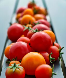 Food fresh eat