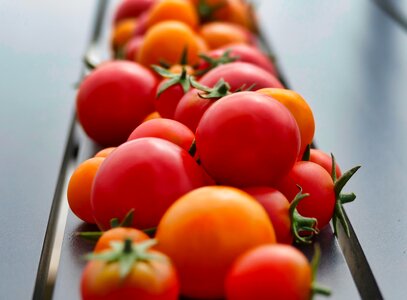 Food healthy ripe