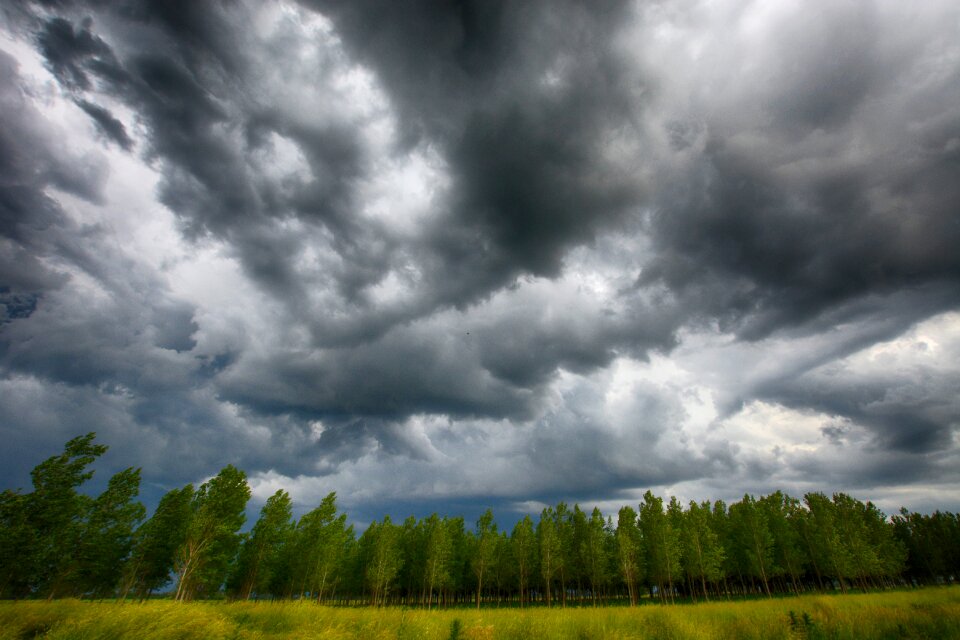 Sky nature tree
