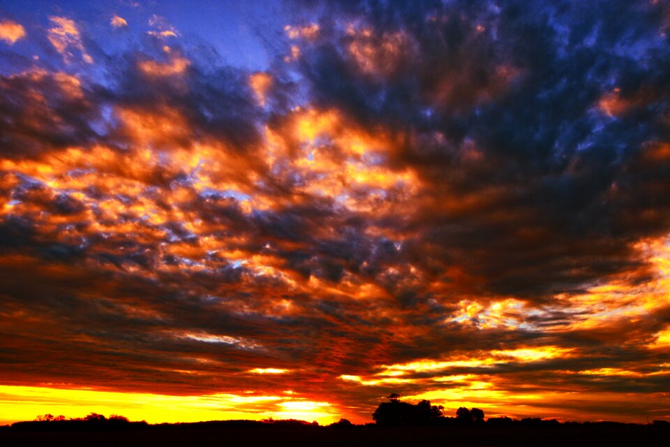 Landscape yellow panorama
