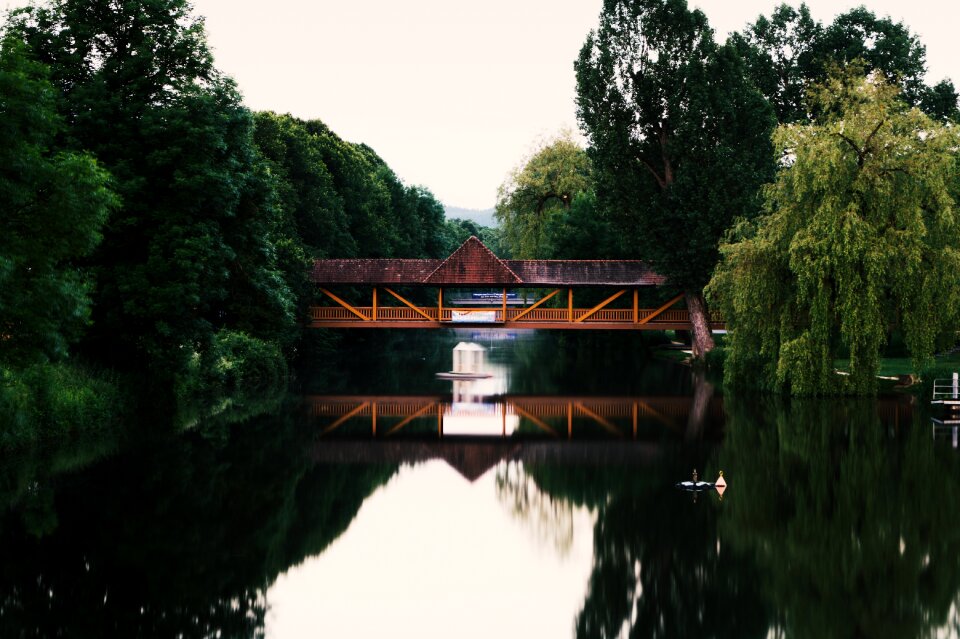 Reflection river wood photo