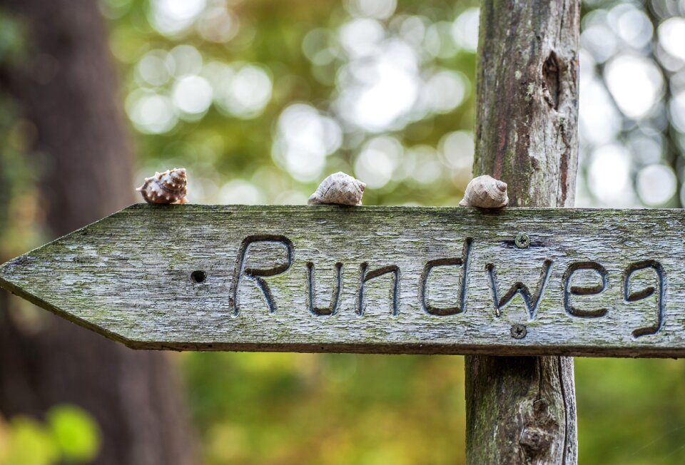 Wooden sign wood pile path direction