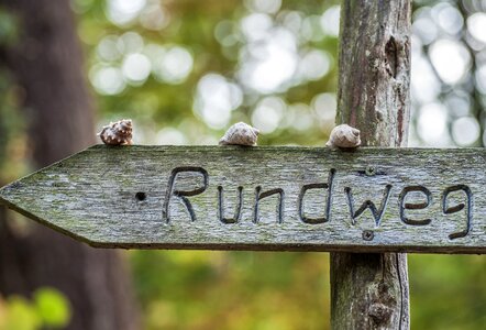 Wooden sign wood pile path direction