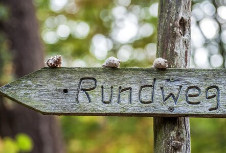 Wooden sign wood pile path direction photo