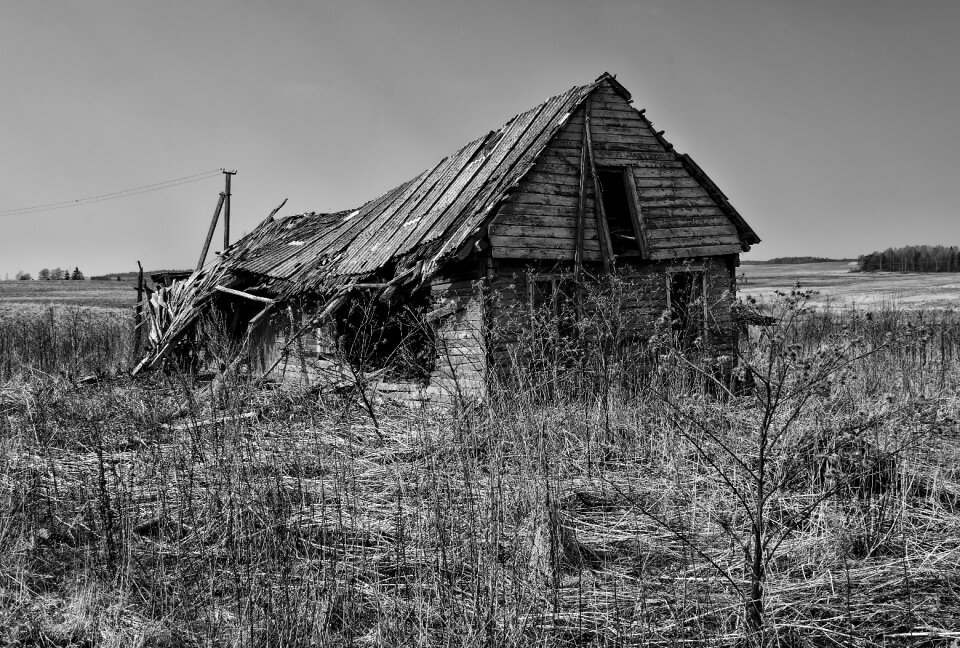Nature rustic gray farm