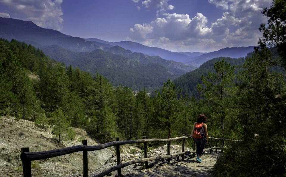 Forest nature walking photo