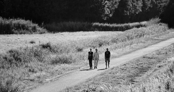 Rural peaceful summer