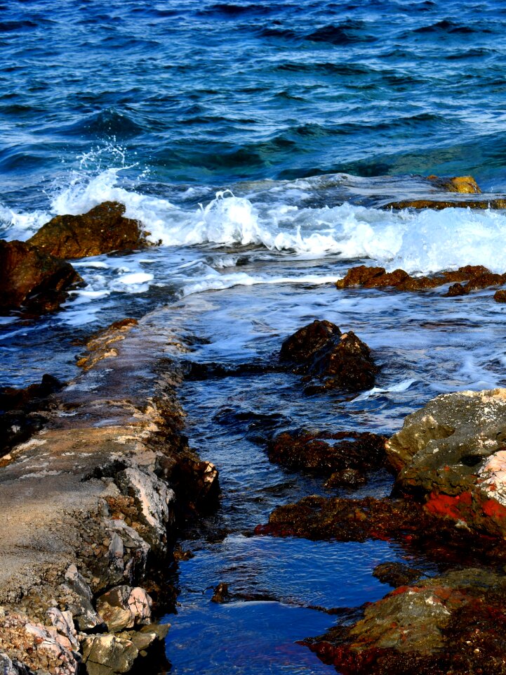 Shore coast reef photo