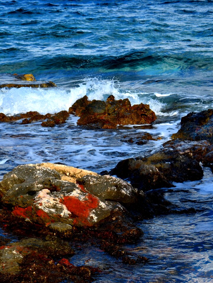 Shore coast reef photo