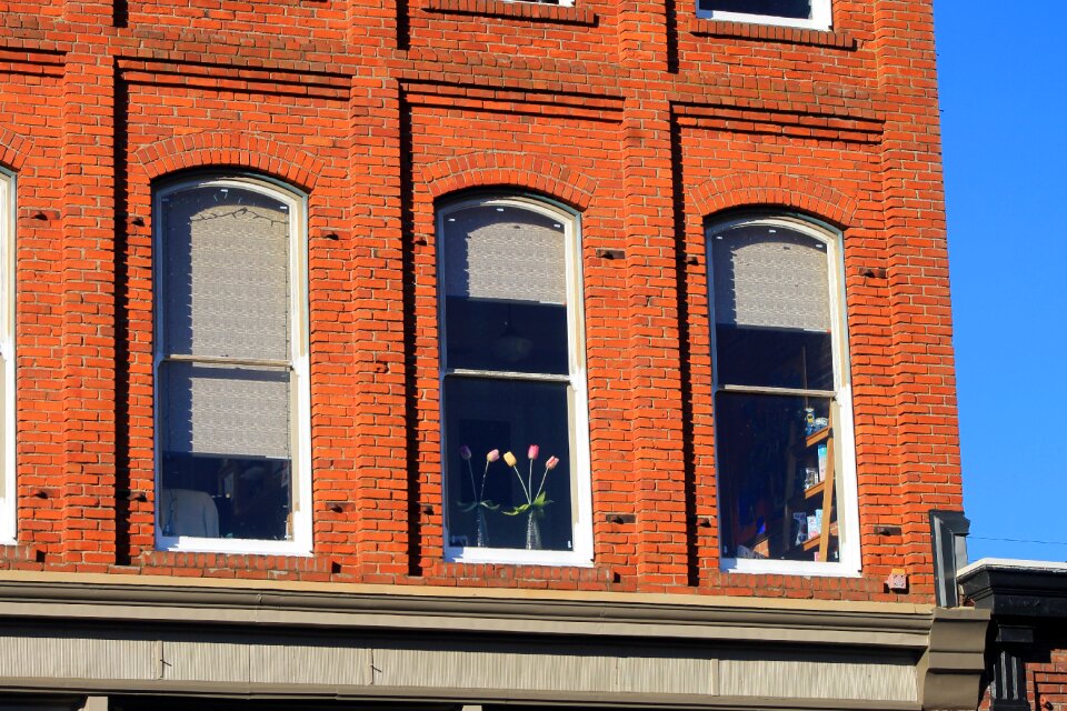 Building windows sky