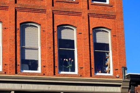 Building windows sky