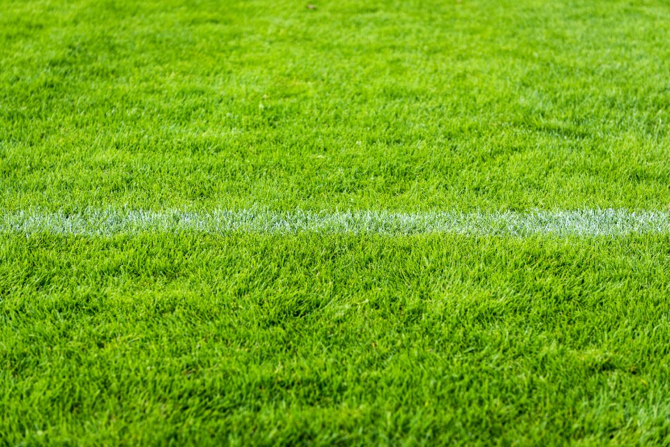 Meadow football line